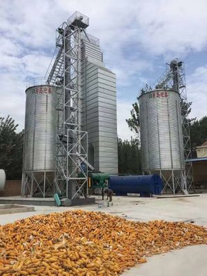 300T per Day Continuous Maize Mixed Flow Dryer