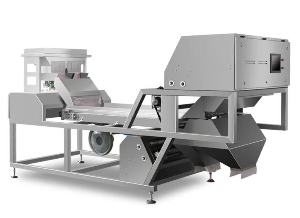 Noix 1-3 tonnes par heure machine de tri par couleur utilisée pour les noix, les amandes.