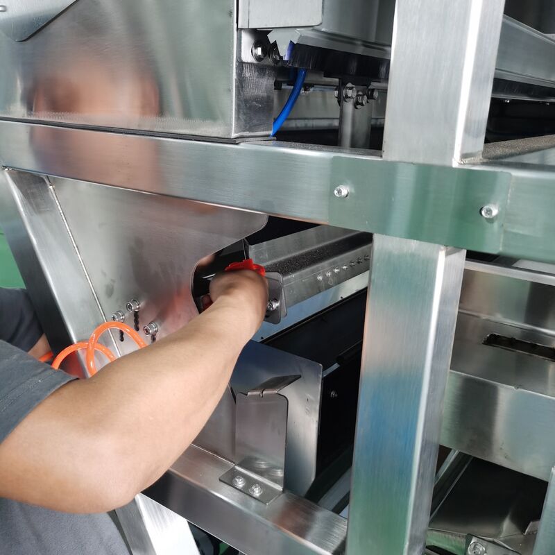 Intelligent Automatic Cashew Shell-Kernel Separation Sorter With Single-Deck Belt