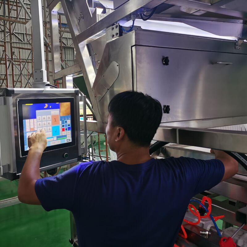 Intelligent Automatic Cashew Shell-Kernel Separation Sorter With Single-Deck Belt