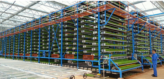Machine de culture de semis de légumes en circulation vers le haut pour la ferme verticale