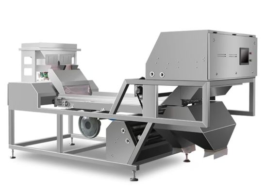 Noix 1-3 tonnes par heure machine de tri par couleur utilisée pour les noix, les amandes.