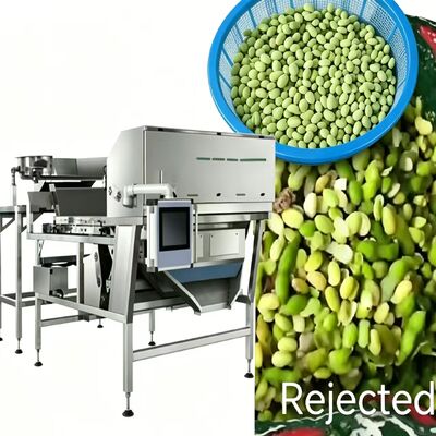 Belt Type Frozen Edamame Color Sorter -Low Breakage, High Accuracy, Self Learning.