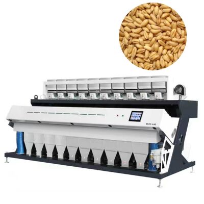 10-Chute 20 T/H Céréales de haute résolution de céréales de couleur de tri pour le blé, le maïs et les grains.