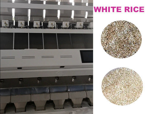 Canaux de la machine 448 de trieuse de couleur de CCD de riz blanc 7 descendeurs