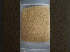 Trieur de couleur de riz brun, capacité 2 tonnes/heure, avec 5400 pixels intelligents