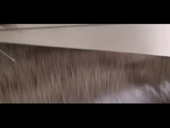 Le Pré-décapant de grain enlève de grandes impuretés avec la poussière et l'aspiration légère d'impuretés