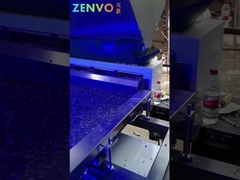 Sortisseur de couleurs de minerai de type piste avec une capacité de 3 à 7 tonnes par heure.