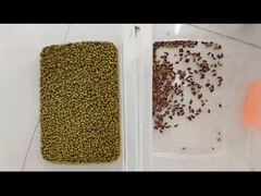 Sort de couleur de haricot