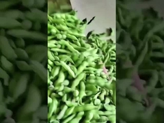 Sorteur de couleurs Edamame