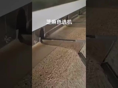 trieuse de couleur de sésame