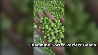 Trieur de couleurs Edamame de type chenille 180 - Haute capacité et faible casse.