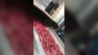 Deux trieurs de couleurs de piment à chenilles