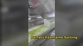 Trieuse de couleurs Edamame de type chenille 120