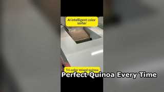 Trieuse de couleurs à haute efficacité pour le quinoa de qualité supérieure