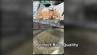 Trieur de couleurs de riz à 32 canaux pour les moulins à riz de petite et moyenne taille.